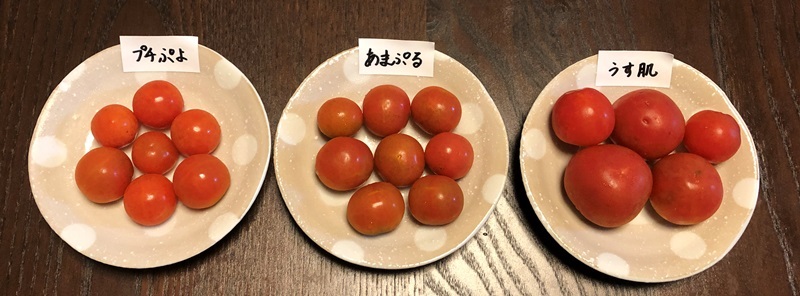 トマト プチ ぷよ 【ミニトマト】 渡辺採種場